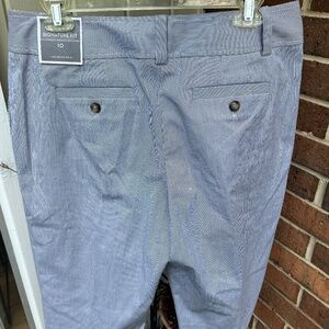 ANN TAYLOR Signature Fit Bermuda Shorts Women’s Size 10 Striped Blue/ White